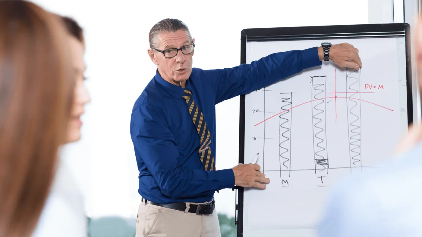 Project management expert providing consulting services to clients